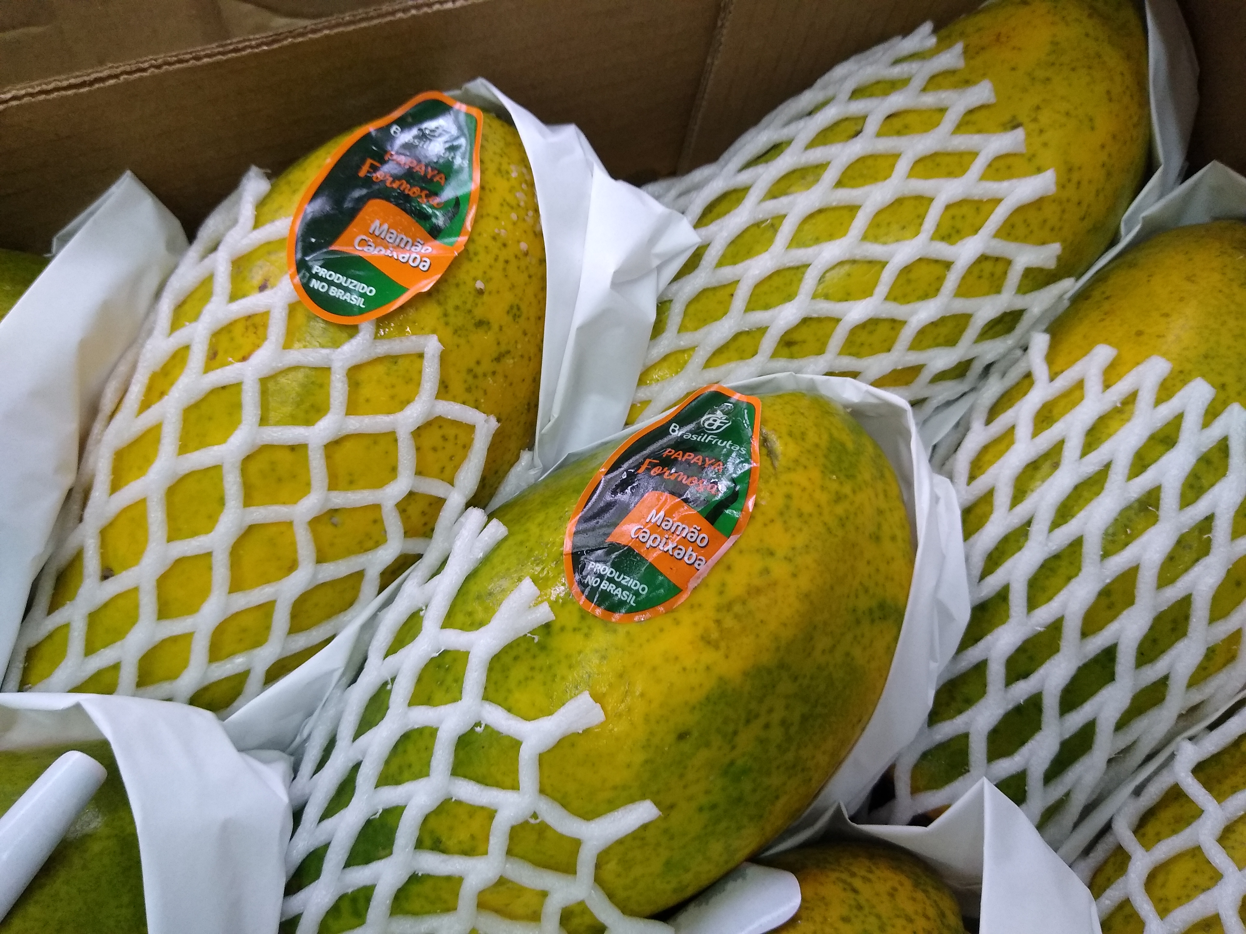 Papaya